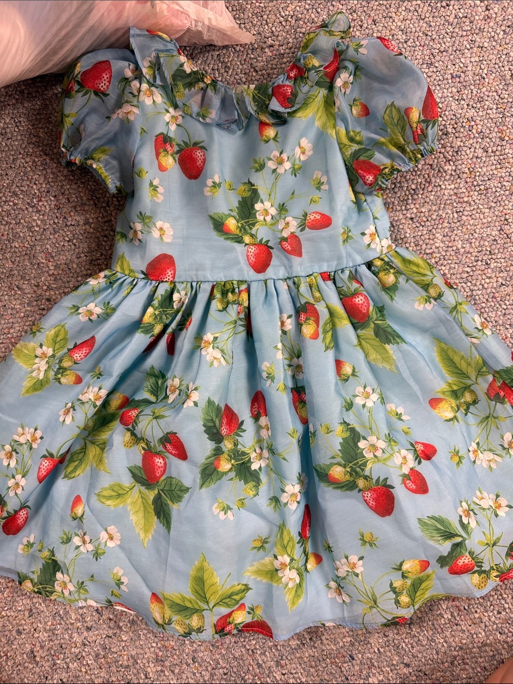 Blue Strawberry Print Girls' Dress